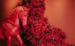 开心色播网图片